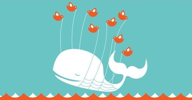 Twitter Password Hack